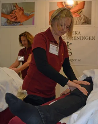 Birgitta Tragerbehandling